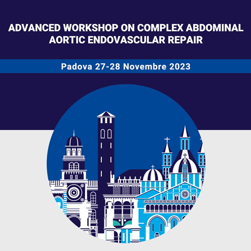 Advanced workshop on complex abdominal aortic endovascular repair
