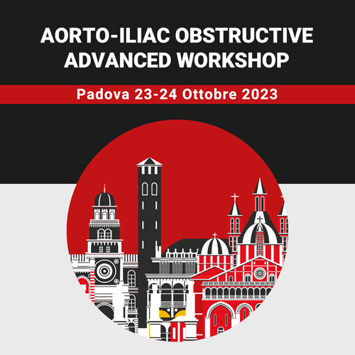 Aorto-iliac obstructive advanced workshop