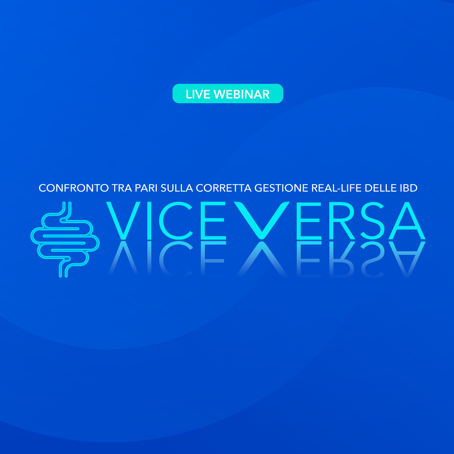 Viceversa